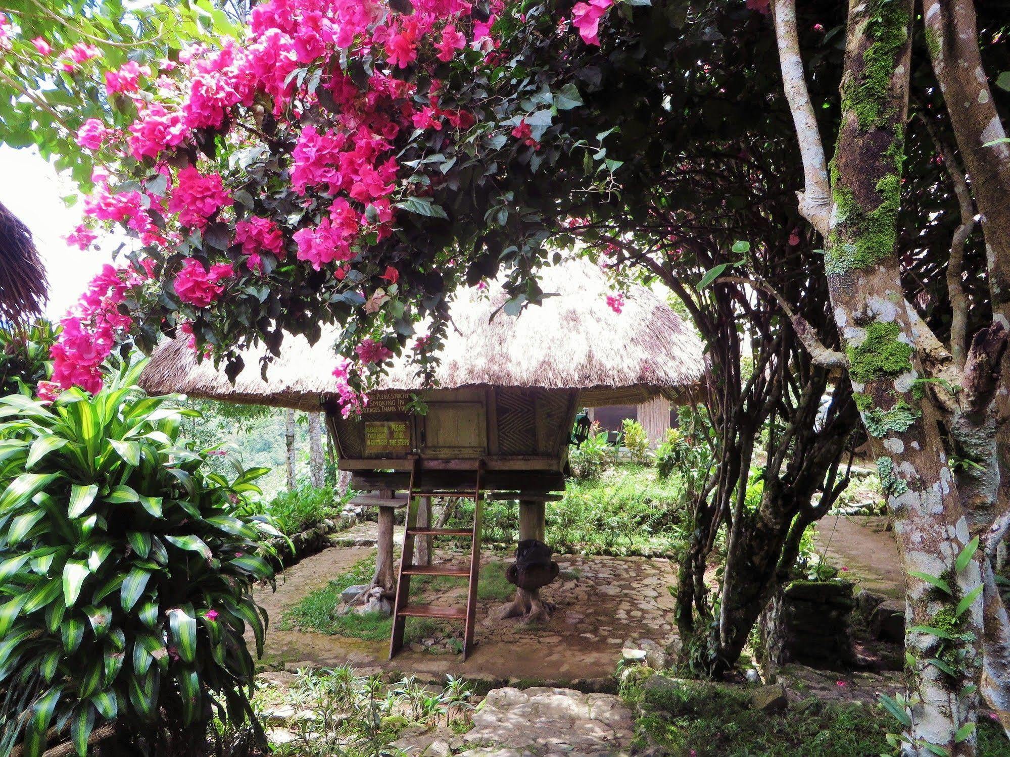 Native Village Inn Banaue Exterior foto